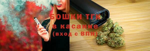 ГАЛЛЮЦИНОГЕННЫЕ ГРИБЫ Алзамай