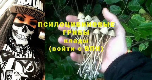 ГАЛЛЮЦИНОГЕННЫЕ ГРИБЫ Алзамай