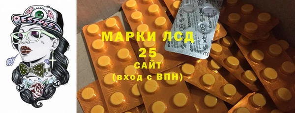 ГАЛЛЮЦИНОГЕННЫЕ ГРИБЫ Алзамай