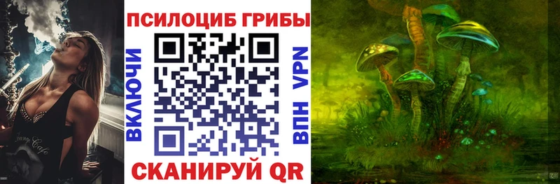 Галлюциногенные грибы прущие грибы  omg ССЫЛКА  Зверево  наркота 