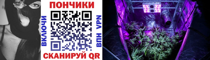 Канабис OG Kush Зверево
